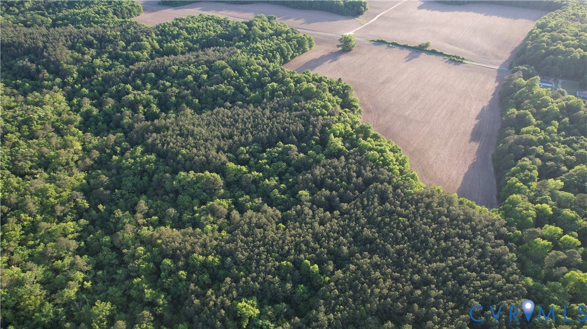 108.5-ac Buzzards Neck Road Lancaster, VA 22503 - Photo 17 of 50 an outdoor space with lots of trees