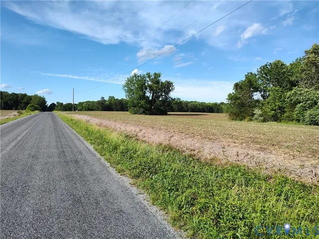 a view of a forest that has large trees