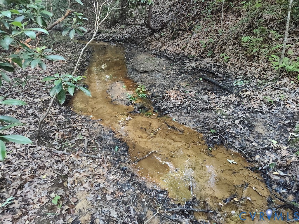 108.5-ac Buzzards Neck Road Lancaster, VA 22503 - Photo 27 of 50 a view of a yard with a yard