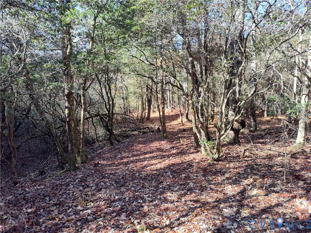 108.5-ac Buzzards Neck Road Lancaster, VA 22503 - Photo 29 of 50