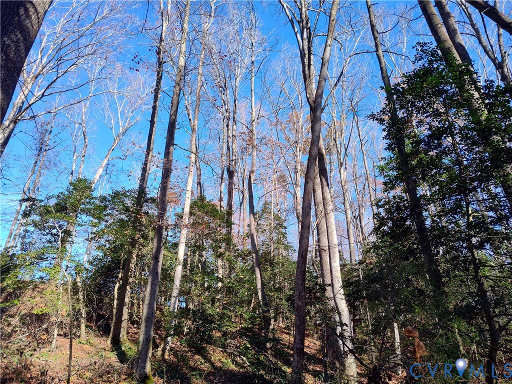 108.5-ac Buzzards Neck Road Lancaster, VA 22503 - Photo 33 of 50 a view of a yard