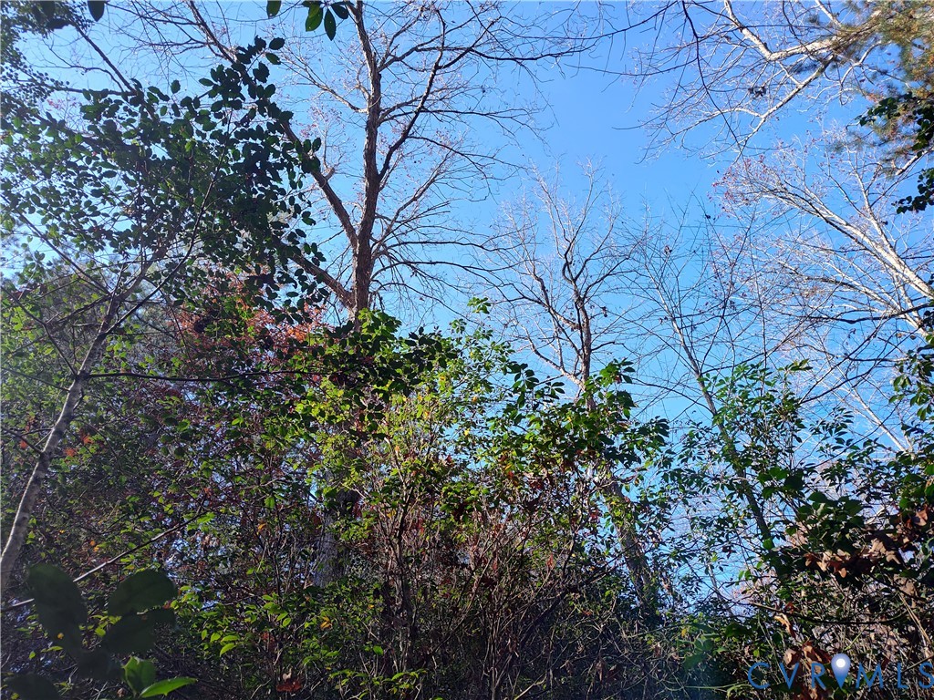 108.5-ac Buzzards Neck Road Lancaster, VA 22503 - Photo 35 of 50 a view of a yard