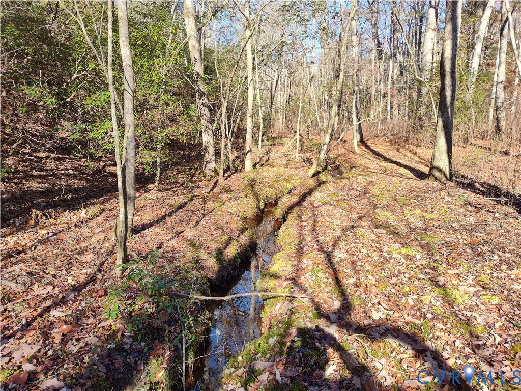 108.5-ac Buzzards Neck Road Lancaster, VA 22503 - Photo 38 of 50 a backyard of a house with lots of green space