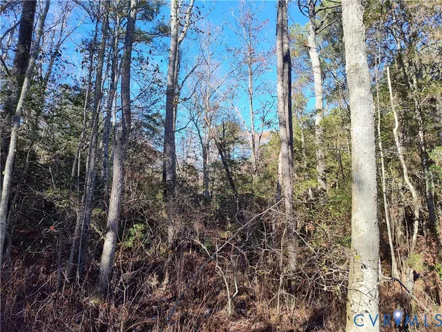 a view of a big yard with a house in background