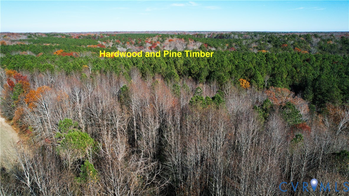 108.5-ac Buzzards Neck Road Lancaster, VA 22503 - Photo 9 of 50 a view of a lake with a house in the background
