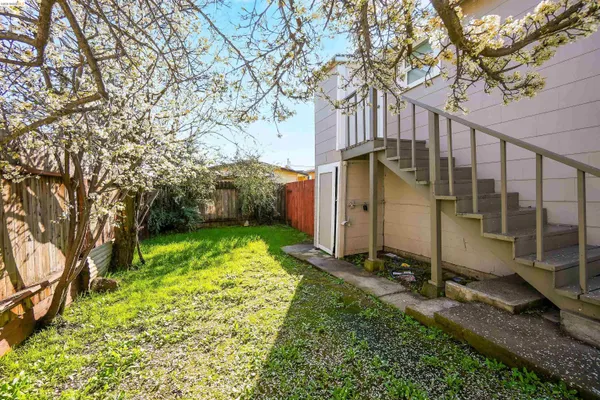 a view of a backyard