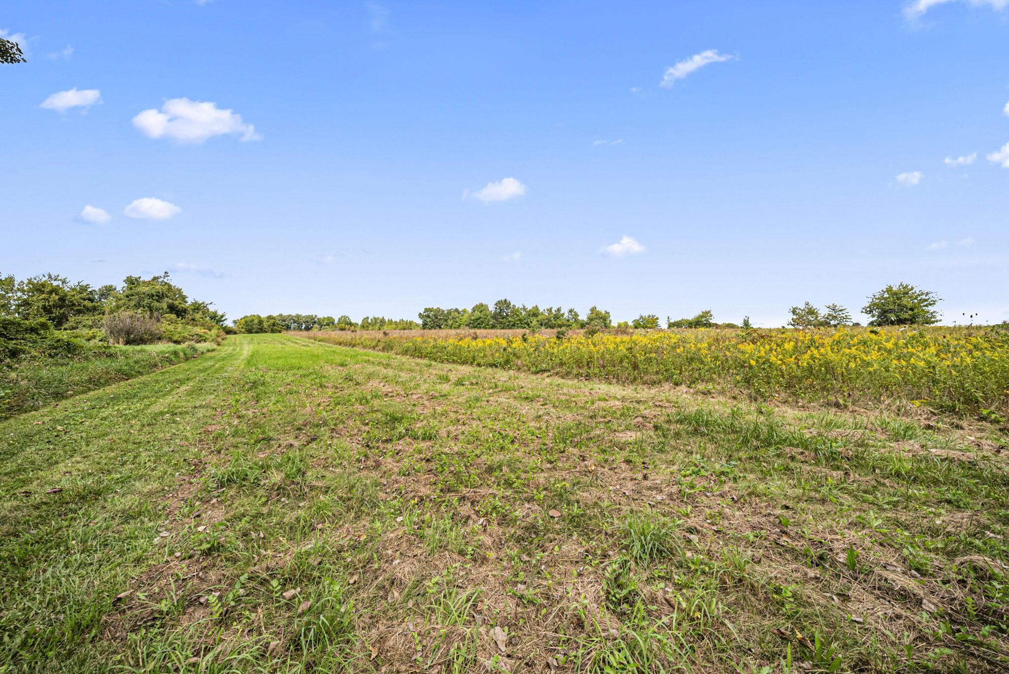 0 Likens Road Marion, OH 43302 - Photo 47 of 88 45-web-or-mls-DSC07029