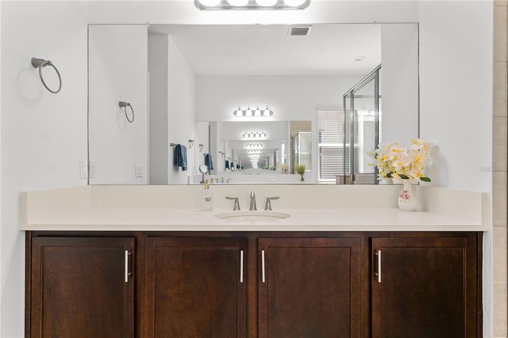 32558 Tree Of Life Avenue Wesley Chapel, FL 33543 - Photo 17 of 73 a bathroom with a sink and a mirror