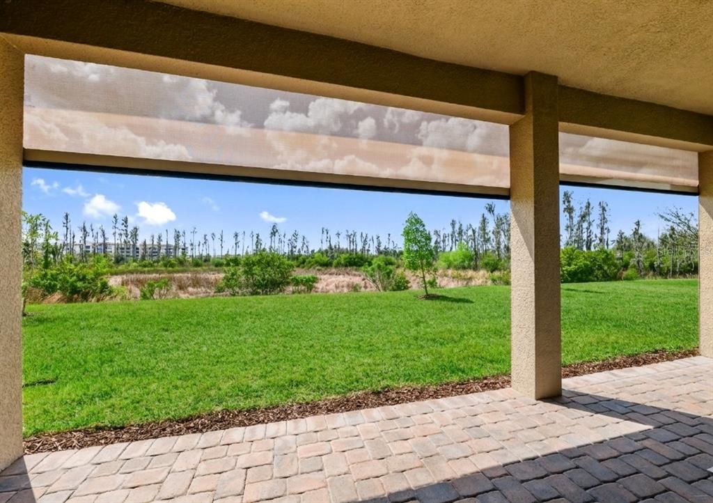 32558 Tree Of Life Avenue Wesley Chapel, FL 33543 - Photo 22 of 73 a view of a back yard from a window