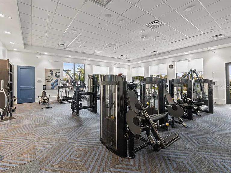 32558 Tree Of Life Avenue Wesley Chapel, FL 33543 - Photo 48 of 73 a view of a room with gym equipment