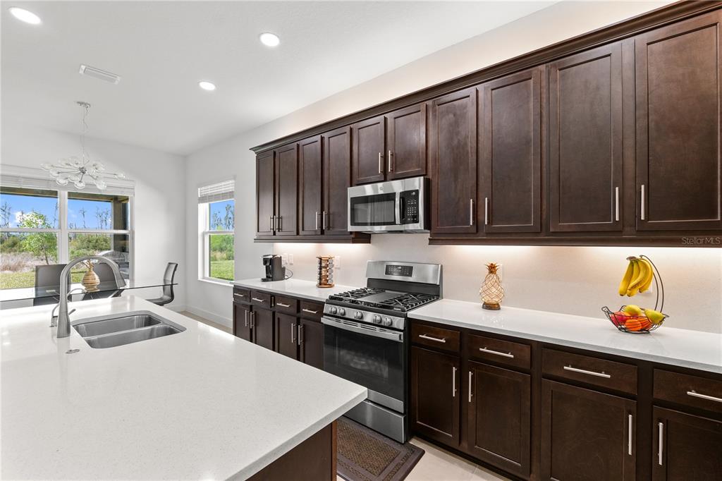 32558 Tree Of Life Avenue Wesley Chapel, FL 33543 - Photo 10 of 73 a kitchen with a sink a stove and cabinets