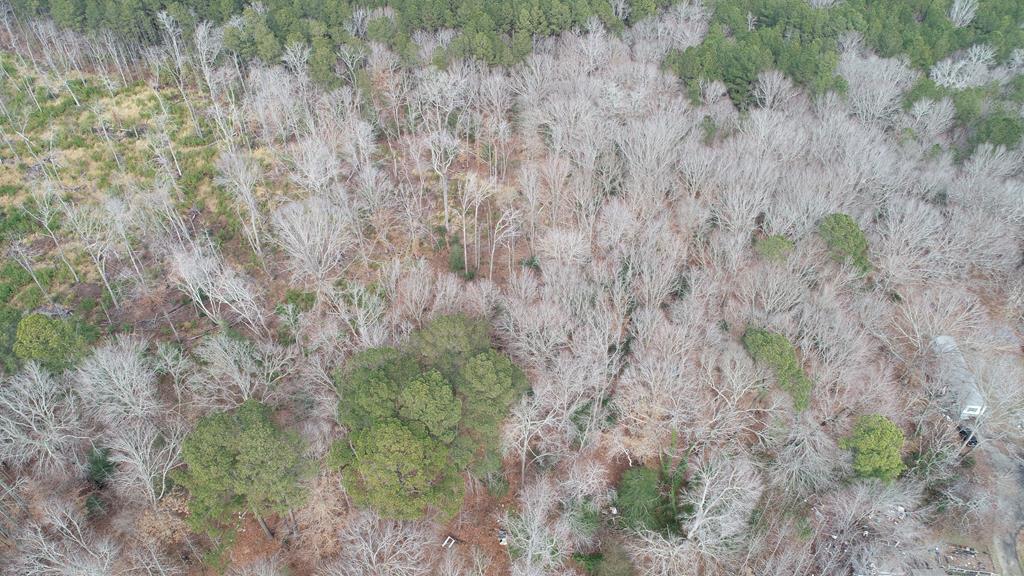 Lot 6 Bayford Road, Unit 6 Franktown, VA 23354 - Photo 12 of 21