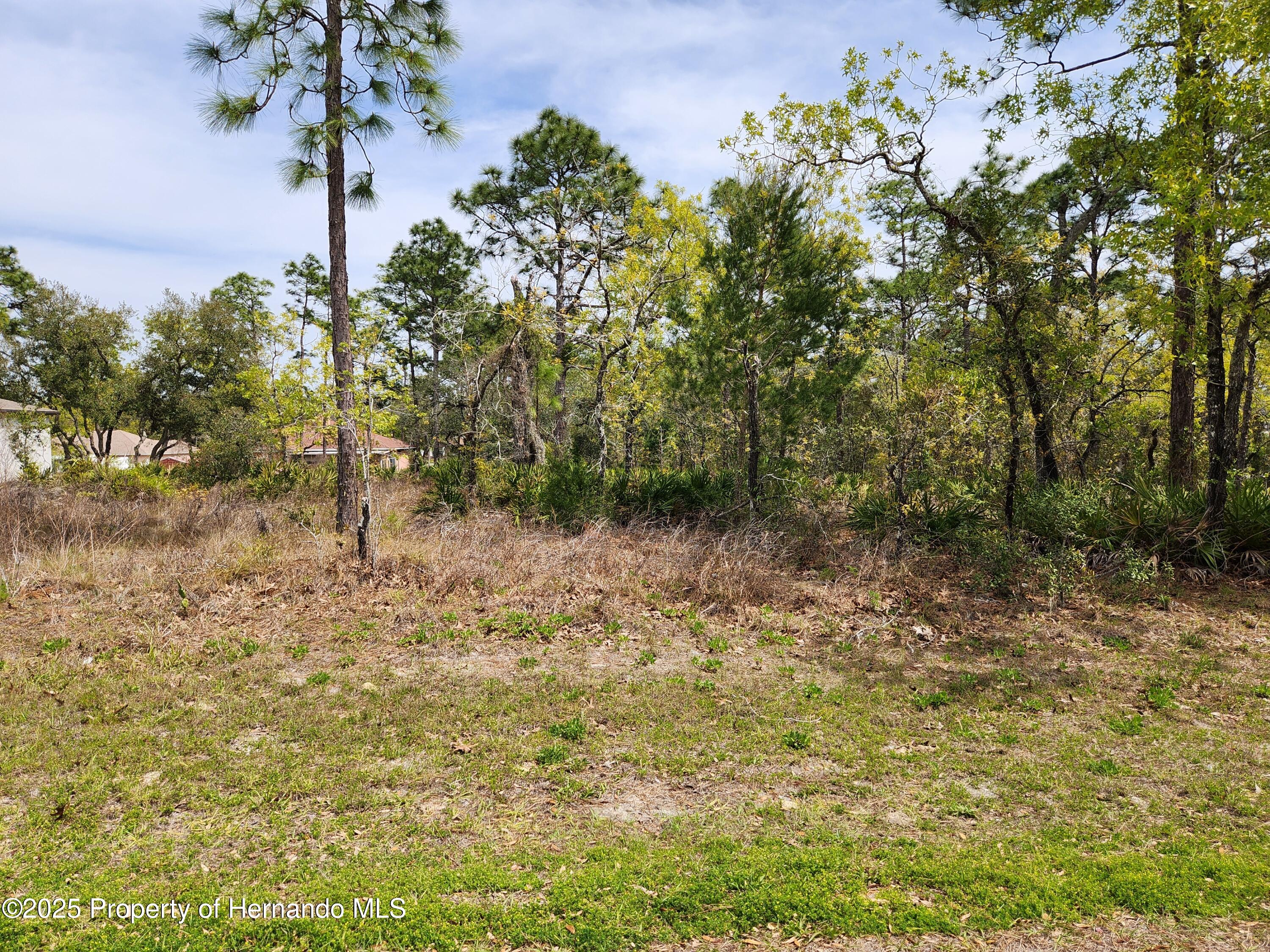 0 Liberto Road Weeki Wachee, FL 34614 - Photo 1 of 5