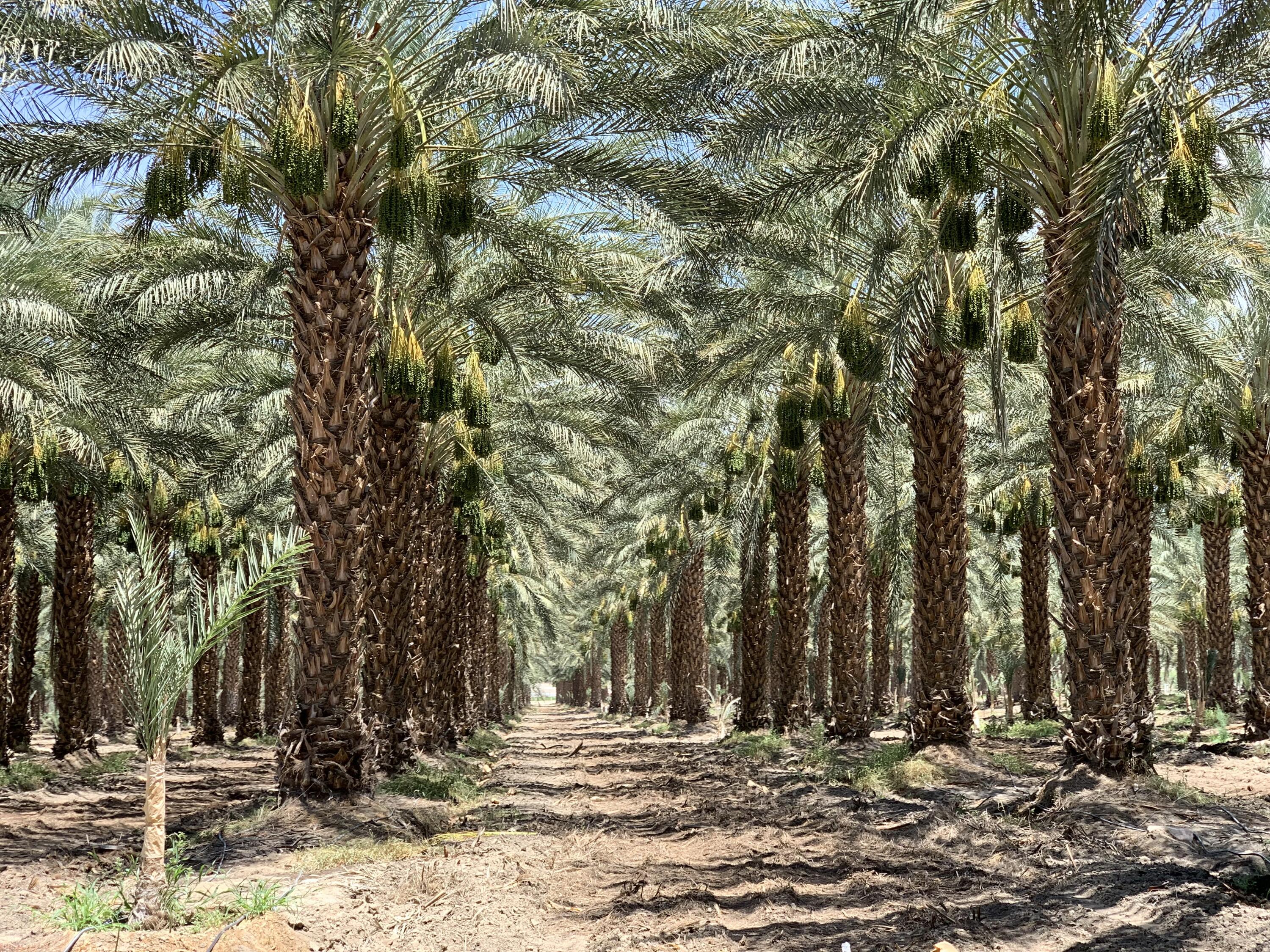 a view of outdoor space with trees