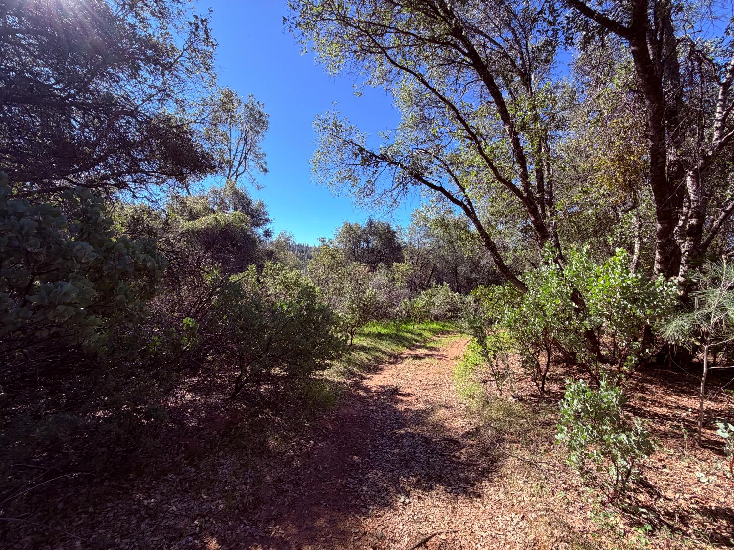 18 Raphael Ridge Road Somerset, CA 95684 - Photo 2 of 17