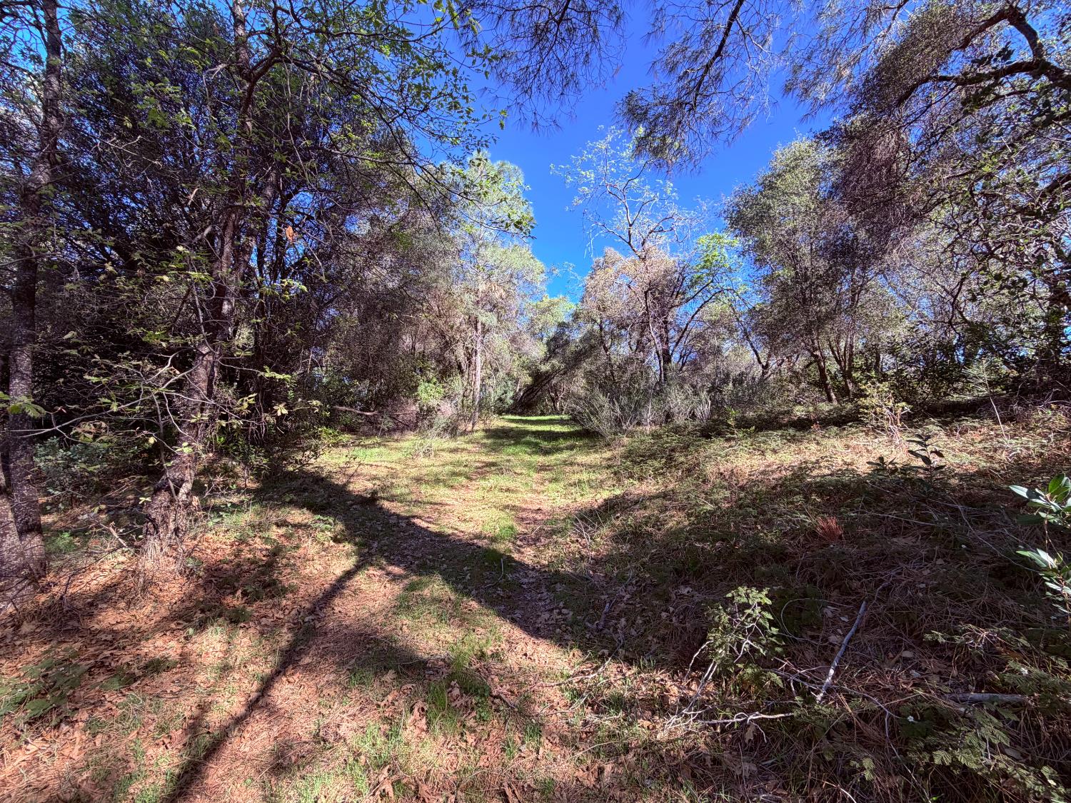 18 Raphael Ridge Road Somerset, CA 95684 - Photo 3 of 17