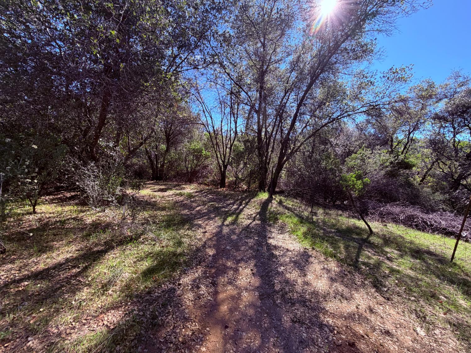 18 Raphael Ridge Road Somerset, CA 95684 - Photo 4 of 17