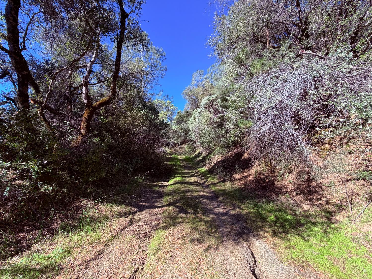 18 Raphael Ridge Road Somerset, CA 95684 - Photo 5 of 17