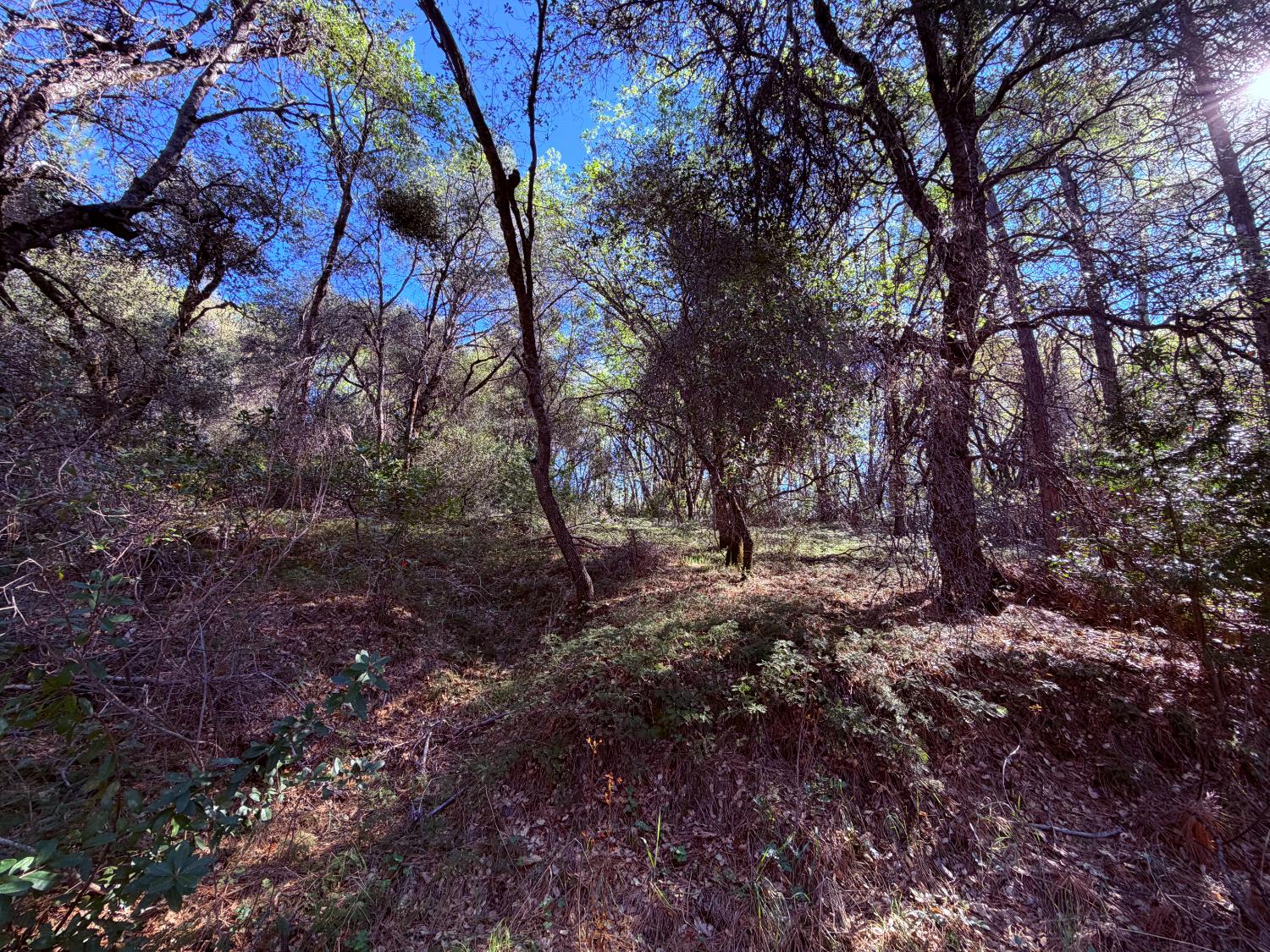 18 Raphael Ridge Road Somerset, CA 95684 - Photo 7 of 17