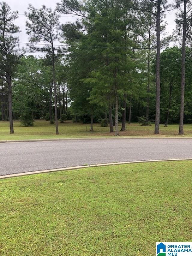 Gilead Estates Demopolis, AL 36732 - Photo 3 of 8