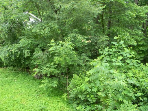140 North Seneca Road Oak Ridge, TN 37830 - Photo 13 of 13 Additional Photo