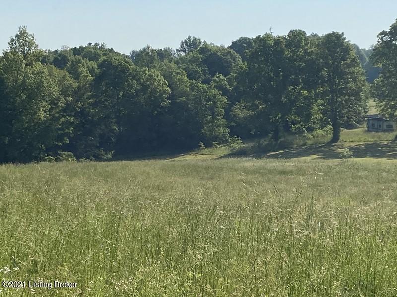 201 B Fox Run Road Caneyville, KY 42721 - Photo 6 of 14 201 Fox Run Tract B 9