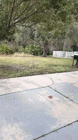 a view of a yard