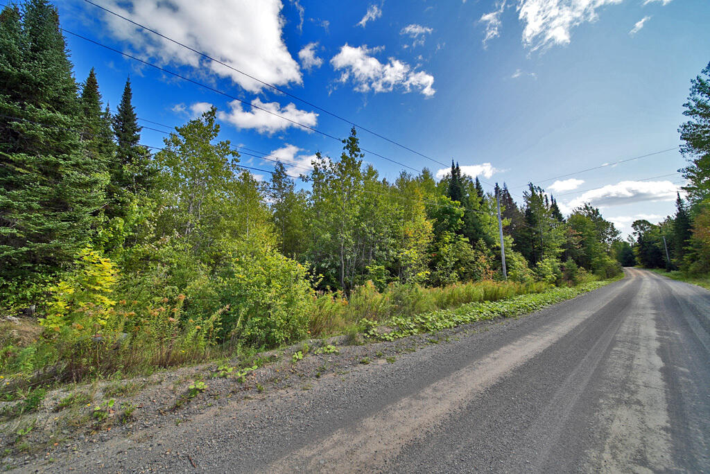 390 Foster Road Littleton, ME 04730 - Photo 51 of 61 maine-land-road-frontage