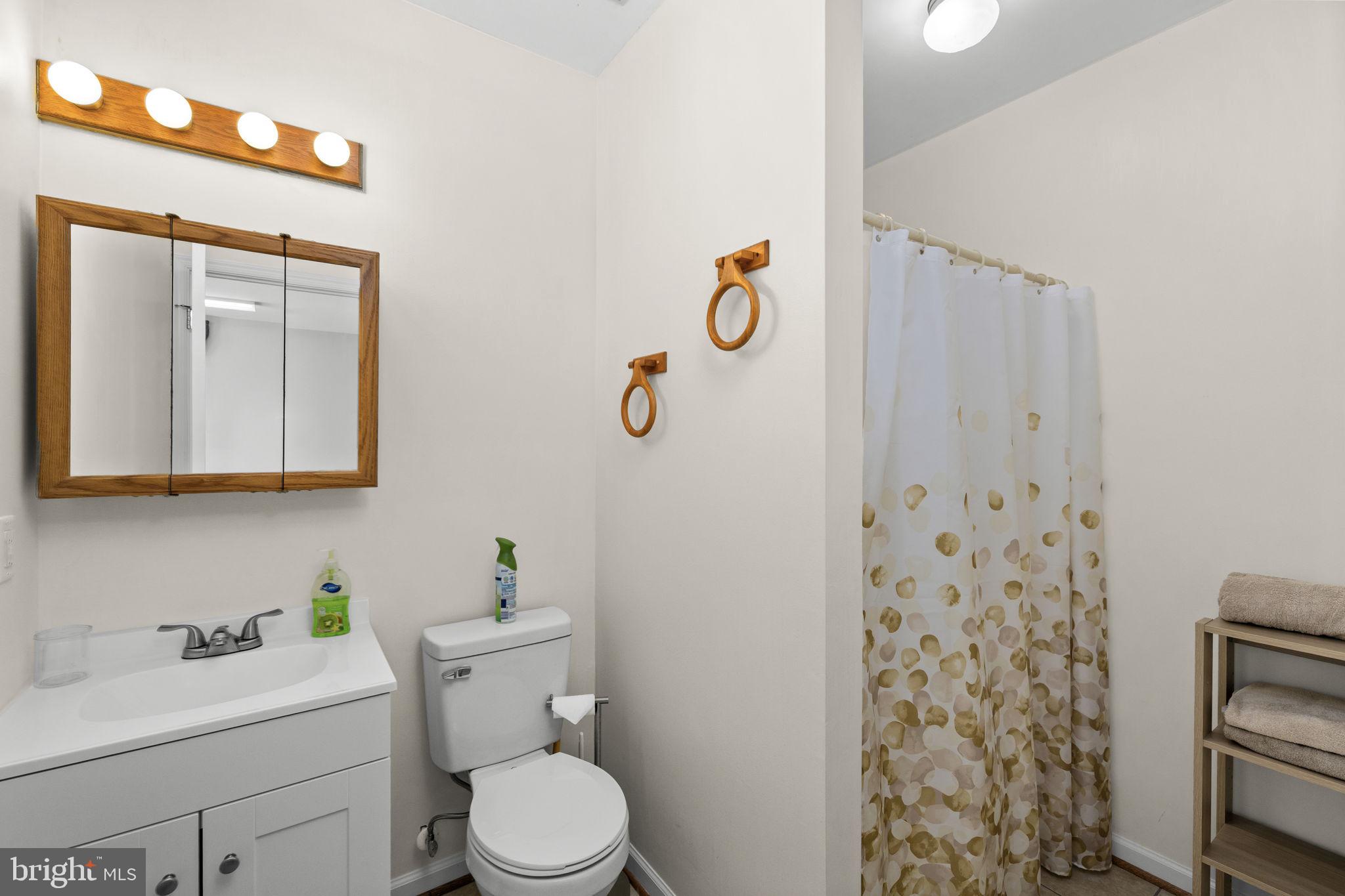 128 Harrison Circle Locust Grove, VA 22508 - Photo 30 of 65 a bathroom with a toilet sink vanity tub and mirror