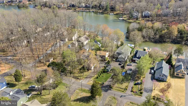a view of a park with large trees