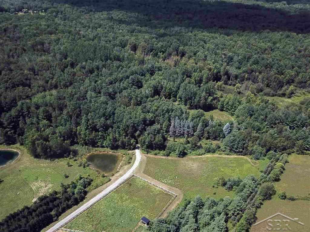 1809 East Baker Road Hope, MI 48628 - Photo 42 of 50