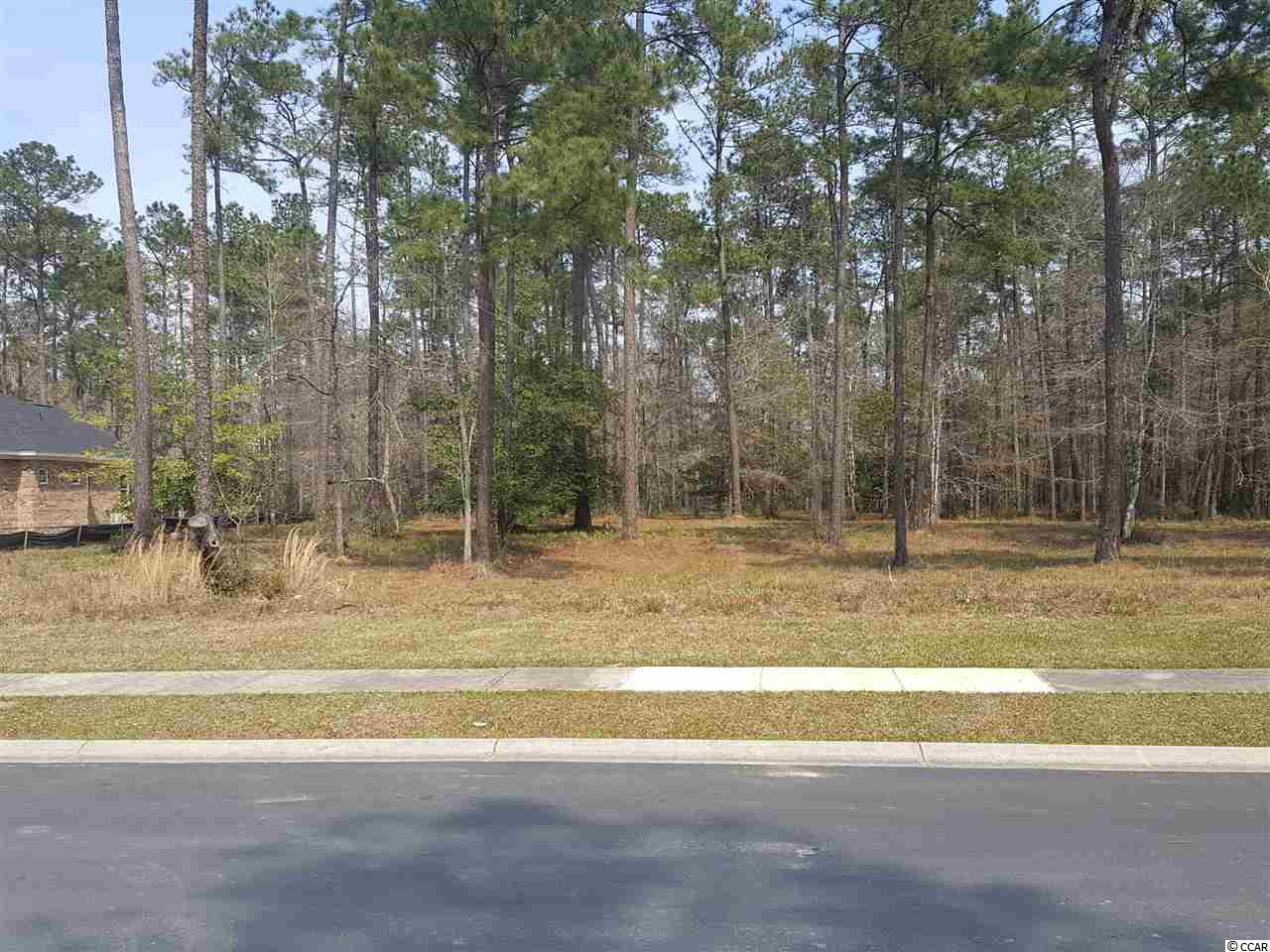 Lot 447 Timmerman Road Myrtle Beach, SC 29588 - Photo 1 of 26 Gallery Image 1