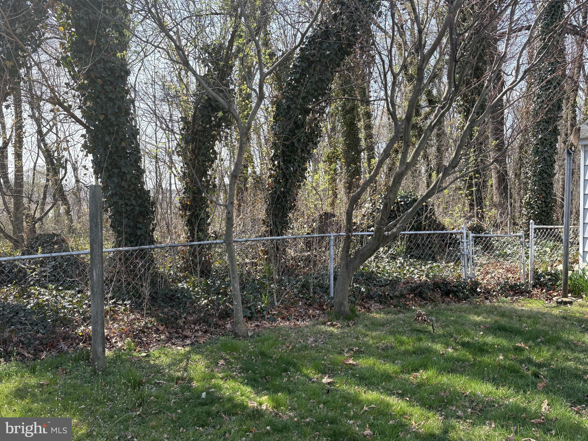 115 Compass Road Baltimore, MD 21220 - Photo 5 of 13 Wooded area behind home