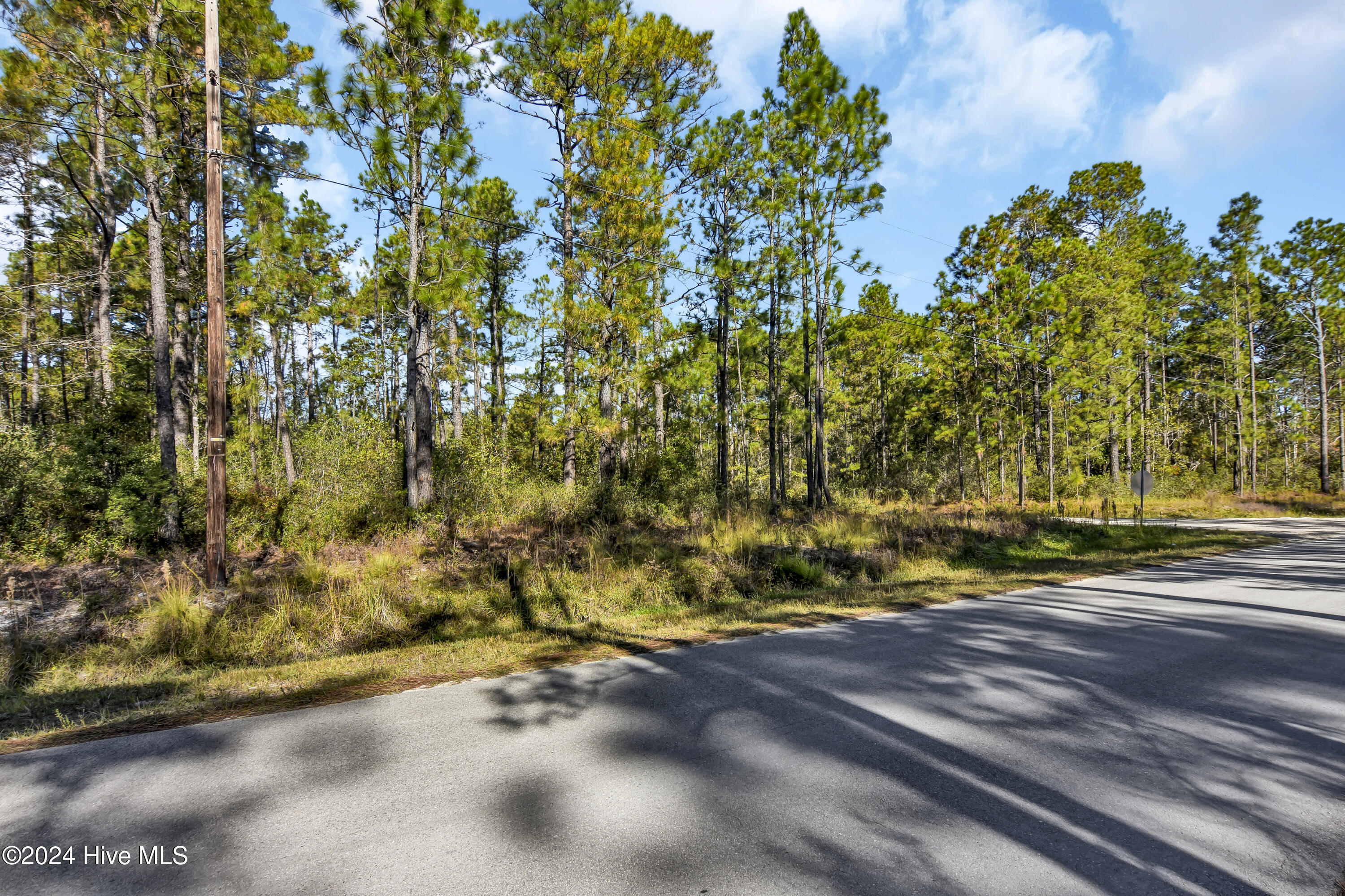 1581 Juniper Road Southport, NC 28461 - Photo 12 of 21 DSC_1394