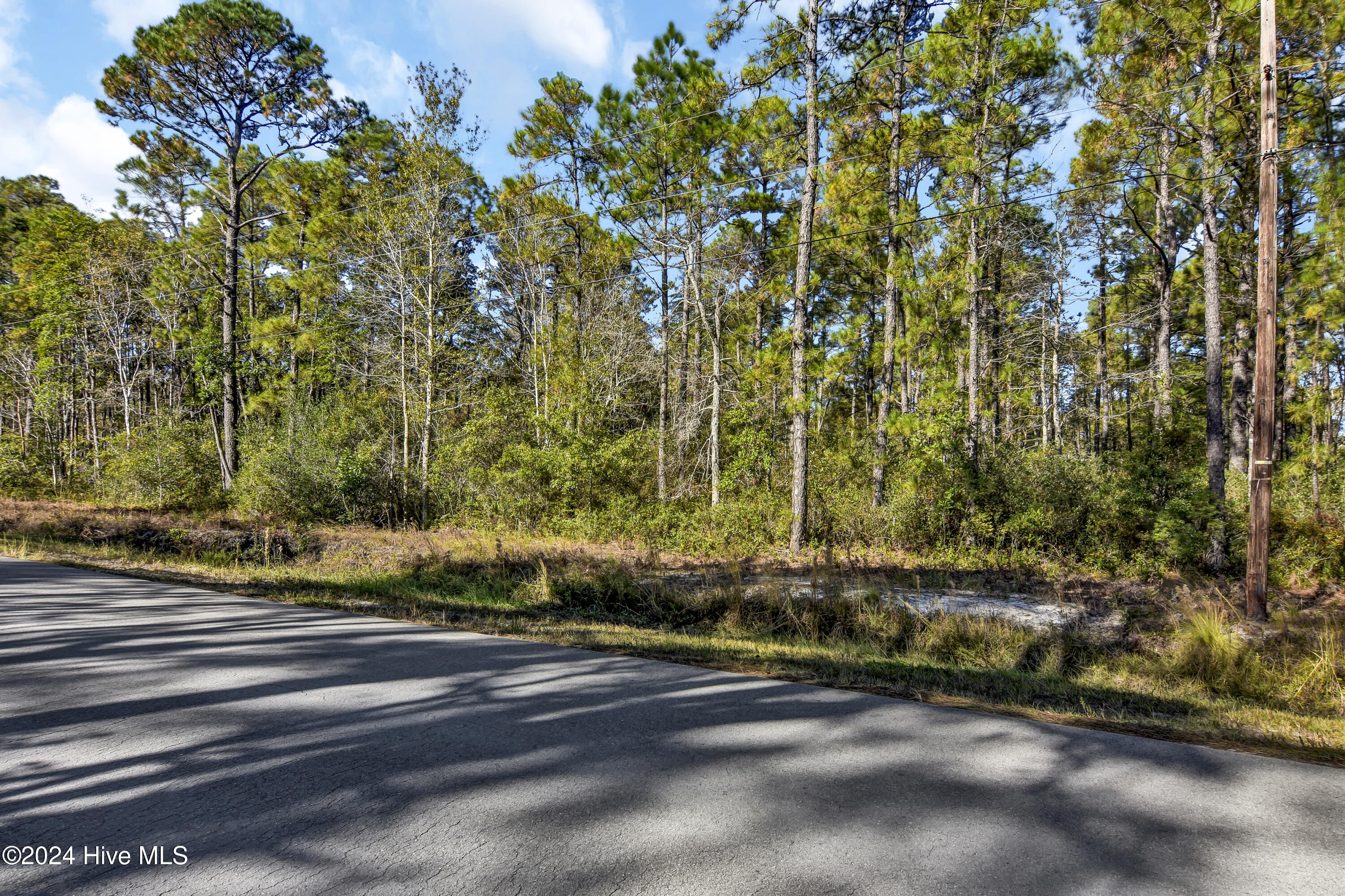 1581 Juniper Road Southport, NC 28461 - Photo 13 of 21 DSC_1399