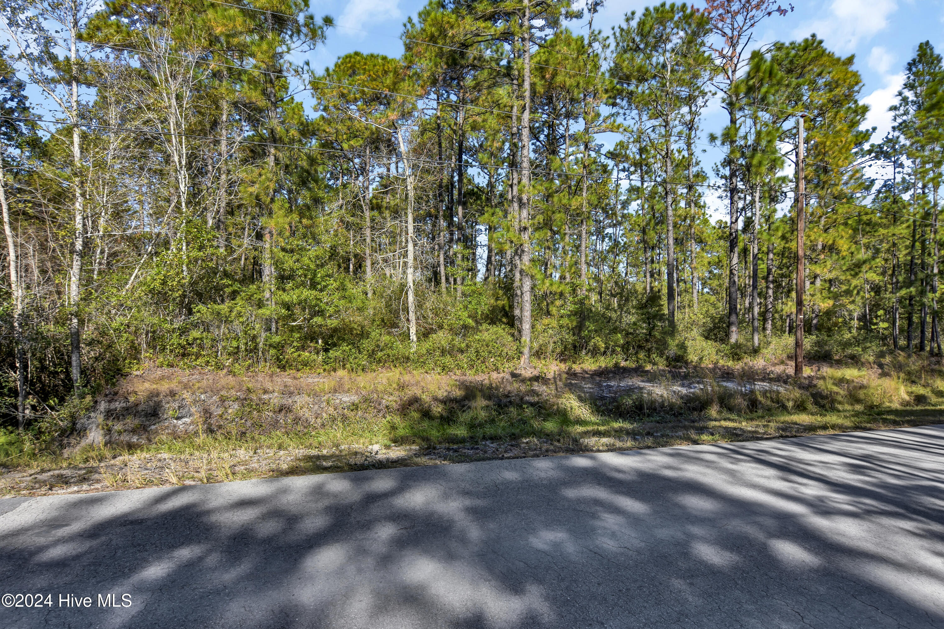 1581 Juniper Road Southport, NC 28461 - Photo 14 of 21 DSC_1404