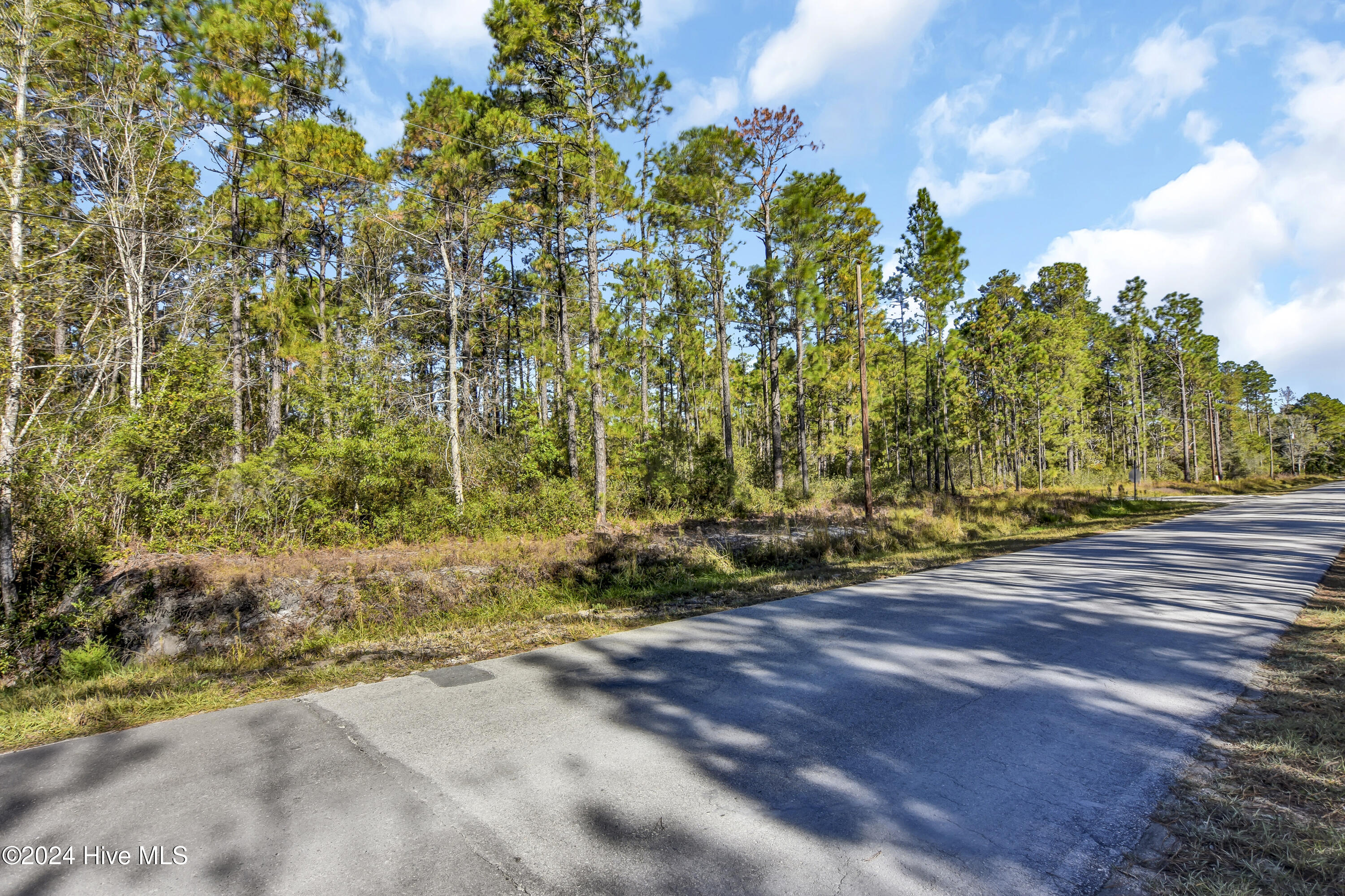 1581 Juniper Road Southport, NC 28461 - Photo 15 of 21 DSC_1409