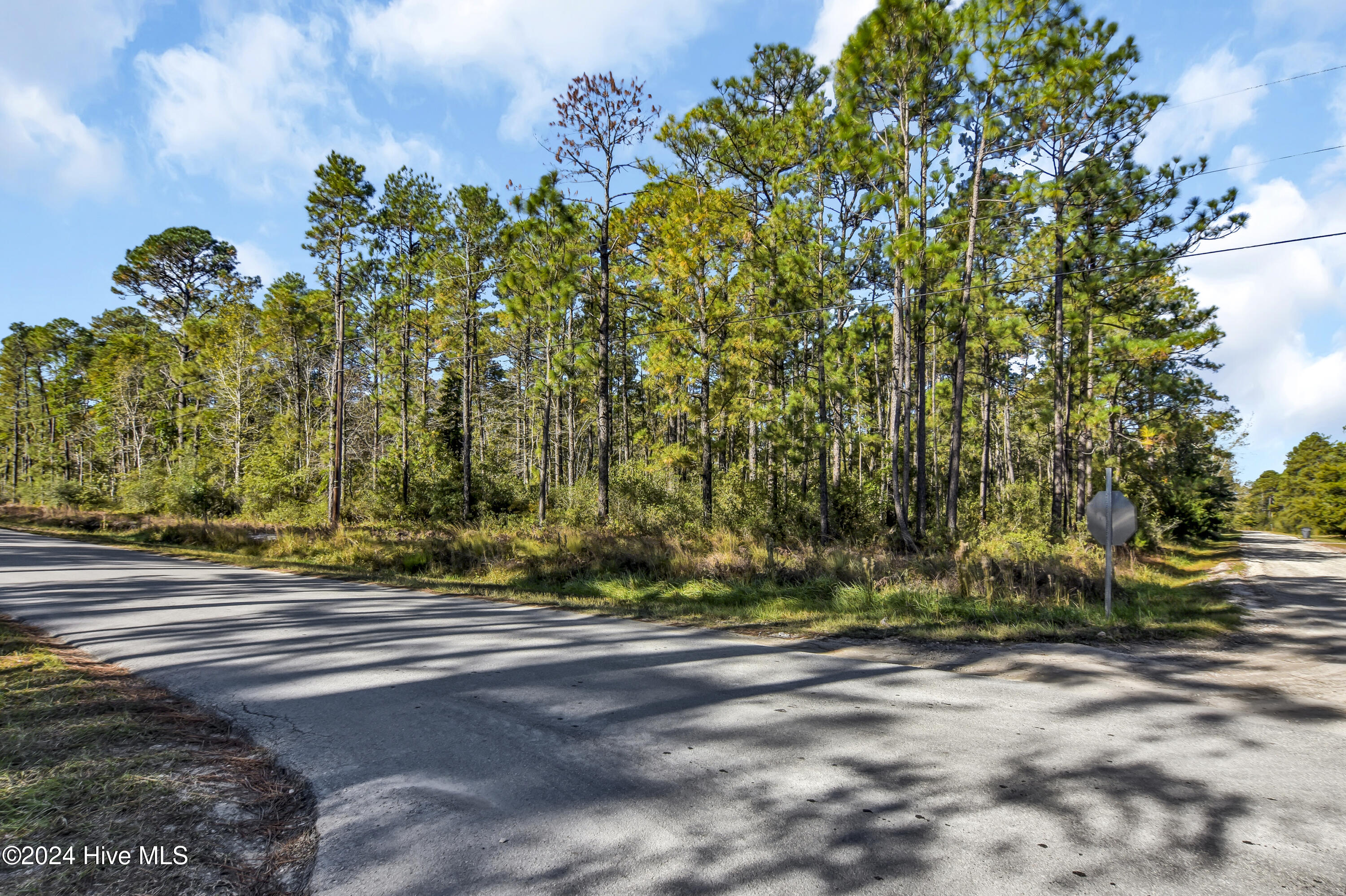 1581 Juniper Road Southport, NC 28461 - Photo 10 of 21 DSC_1384