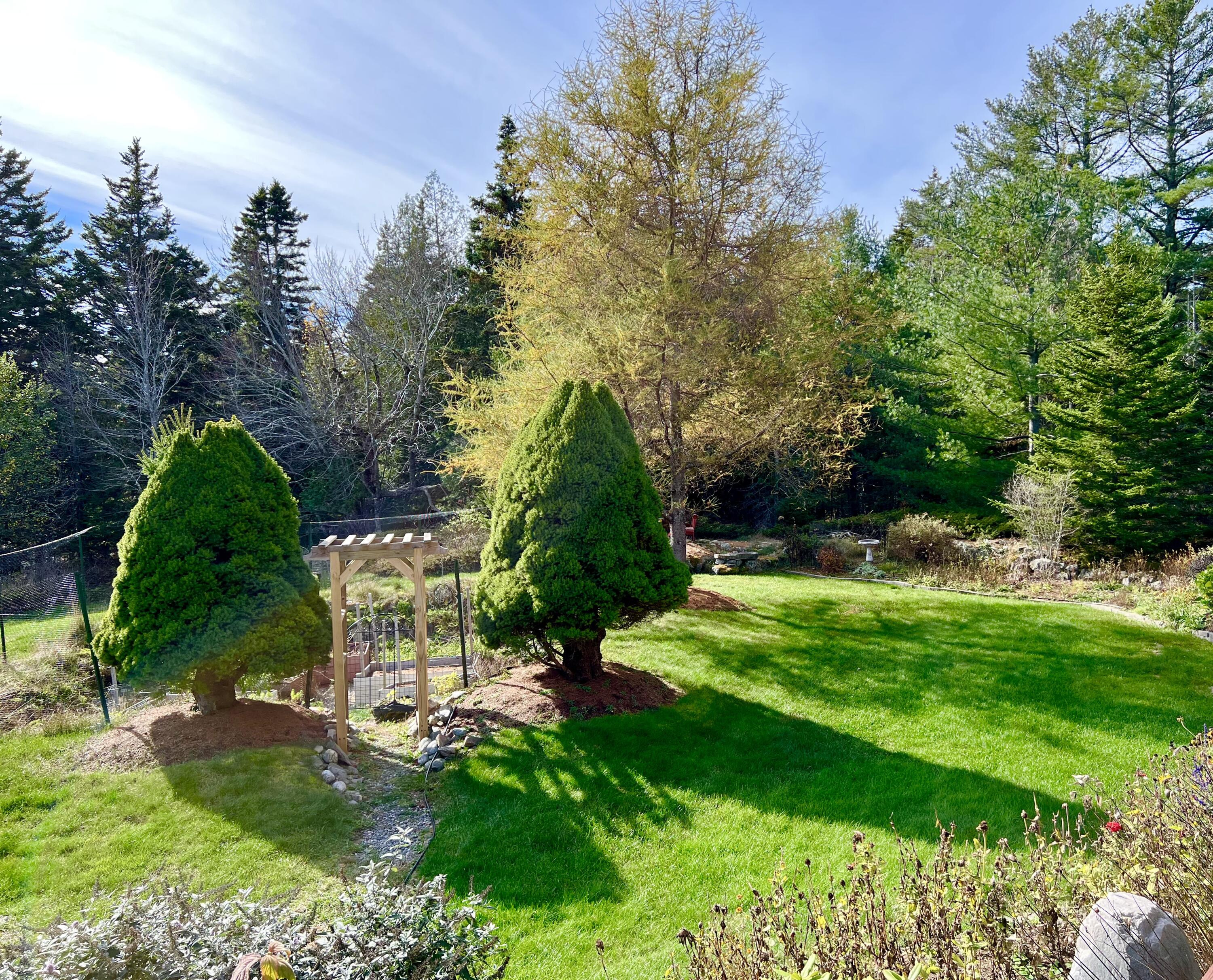 70 Burnt Hill Road Tremont, ME 04653 - Photo 61 of 69 Back yard