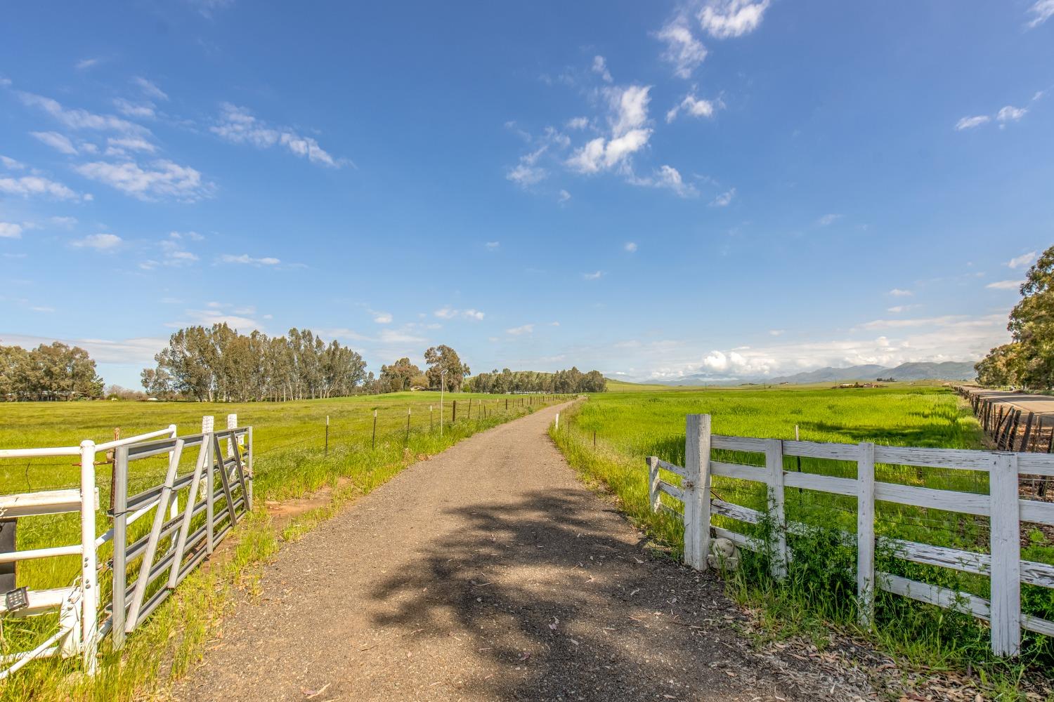 15874 Watts Valley Road Sanger, CA 93657 - Photo 4 of 24 Gallery Image 4