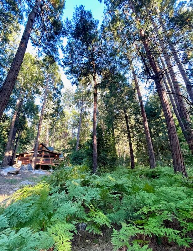 26299 Tahquitz Drive Idyllwild, CA 92549 - Photo 42 of 61 IMG_2365