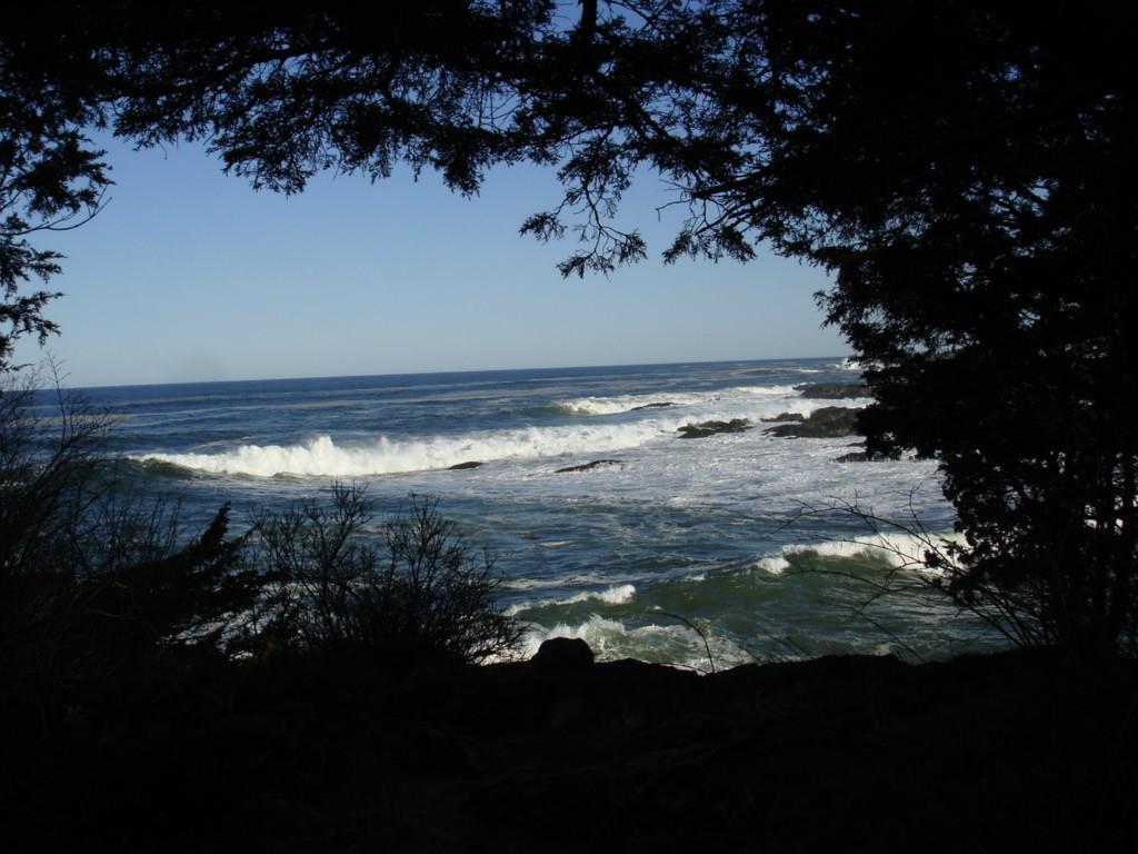 86 Israel Head Road Ogunquit, ME 03907 - Photo 25 of 25 View from Marginal Way