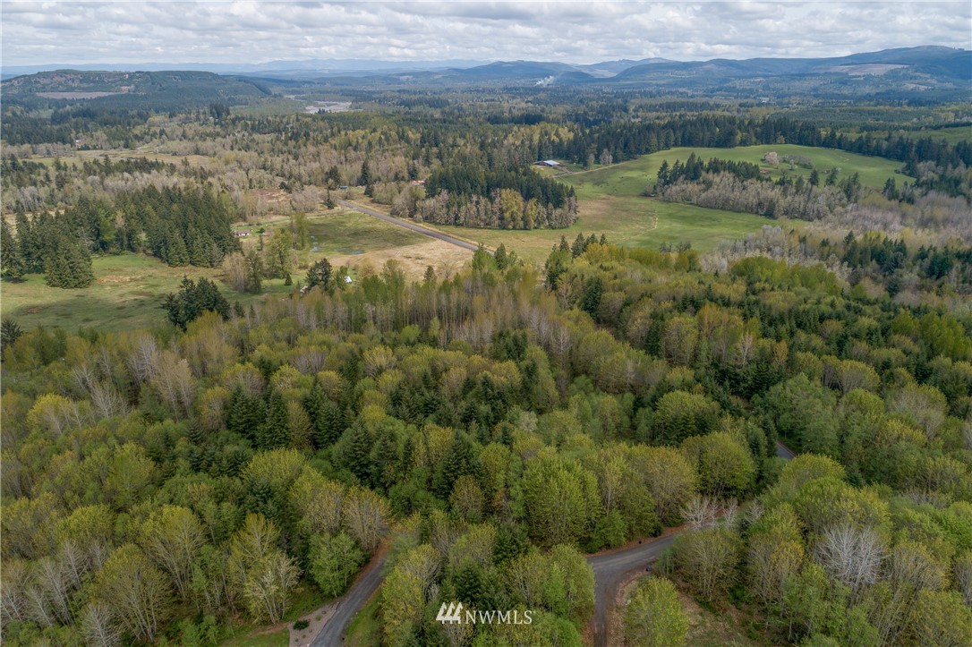0 Sky Country Road Toutle, WA 98649 - Photo 5 of 9 a view of outdoor space and mountain view