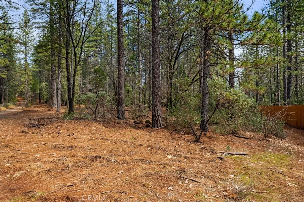 a backyard of a house with lots of trees