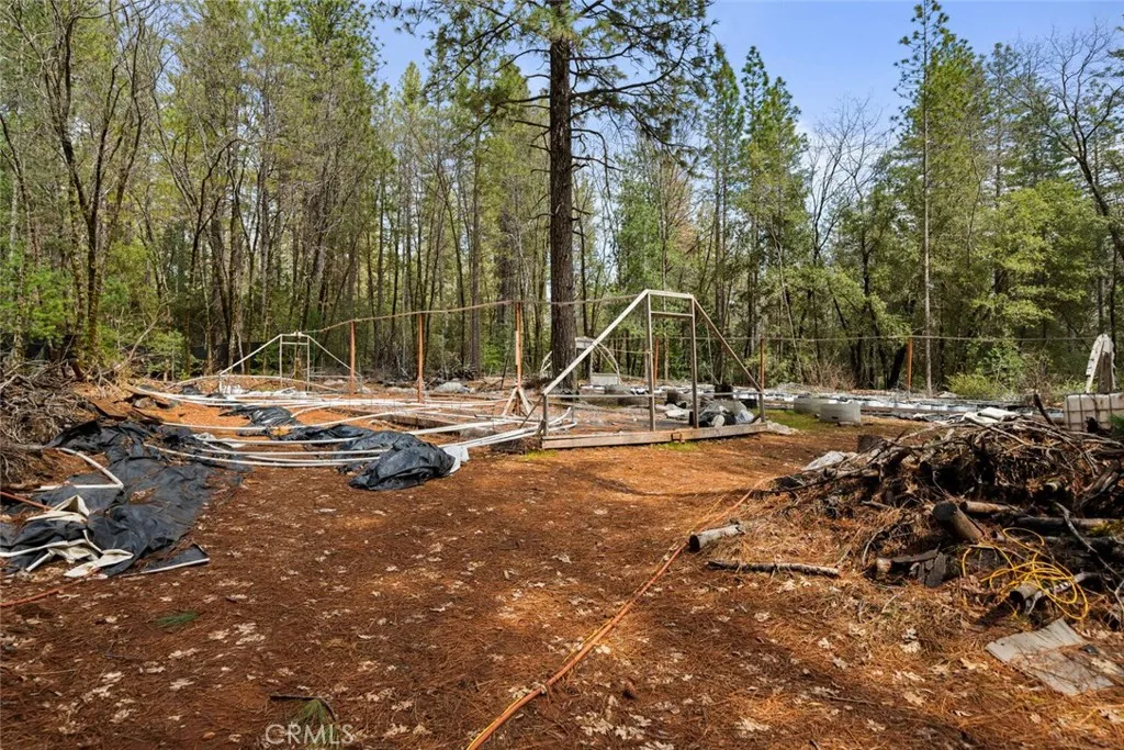 0 Doe Mill Road Forest Ranch, CA 95942 - Photo 4 of 8 a view of a park with large trees