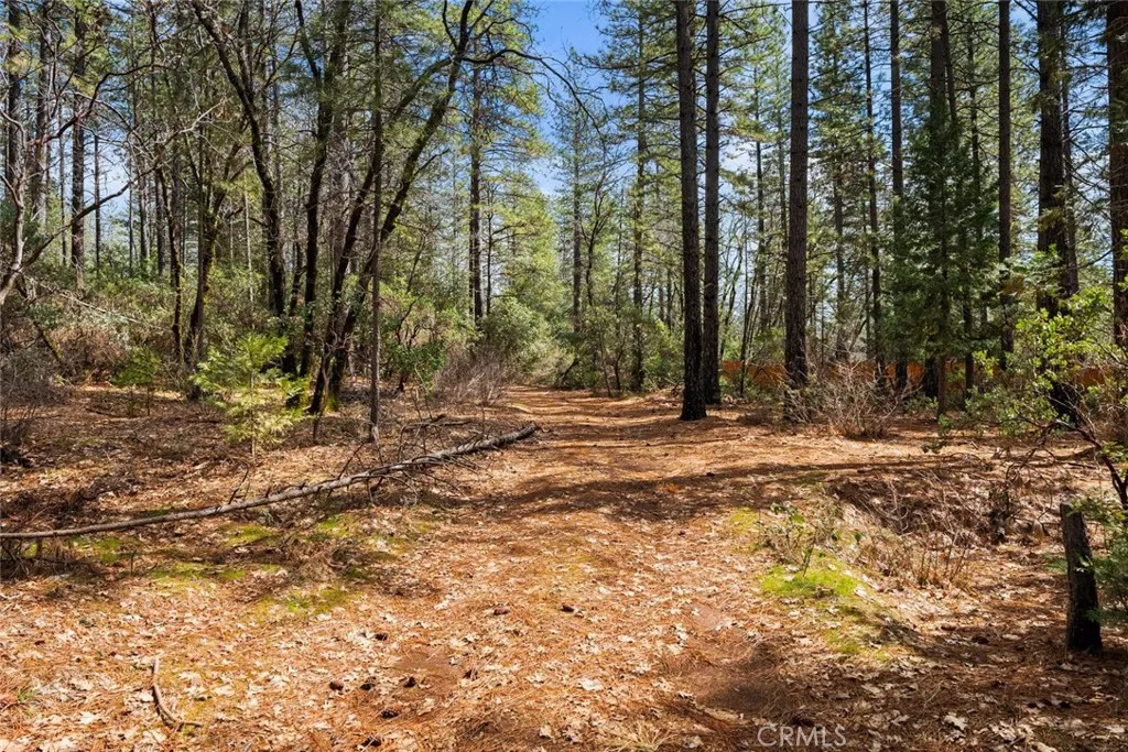 0 Doe Mill Road Forest Ranch, CA 95942 - Photo 8 of 8 a view of outdoor space with trees