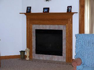 10133 Yensch Road Maybee, MI 48159 - Photo 4 of 8 gas fireplace in LR