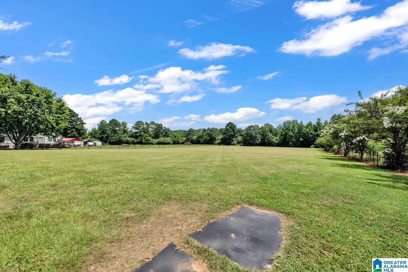 0 Mize Road, Unit 13 Remlap, AL 35133 - Photo 15 of 44