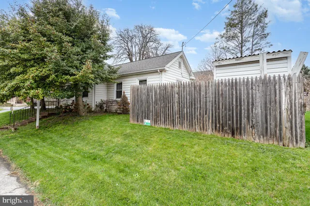 a view of a backyard with a large tree