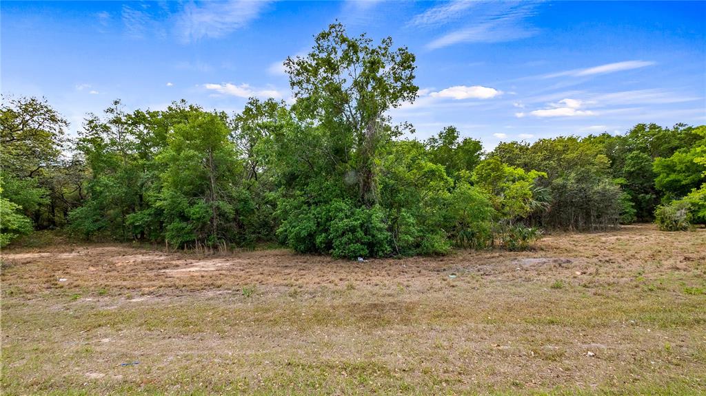 455 County Road Montverde, FL 34756 - Photo 1 of 1 Gallery Image 1